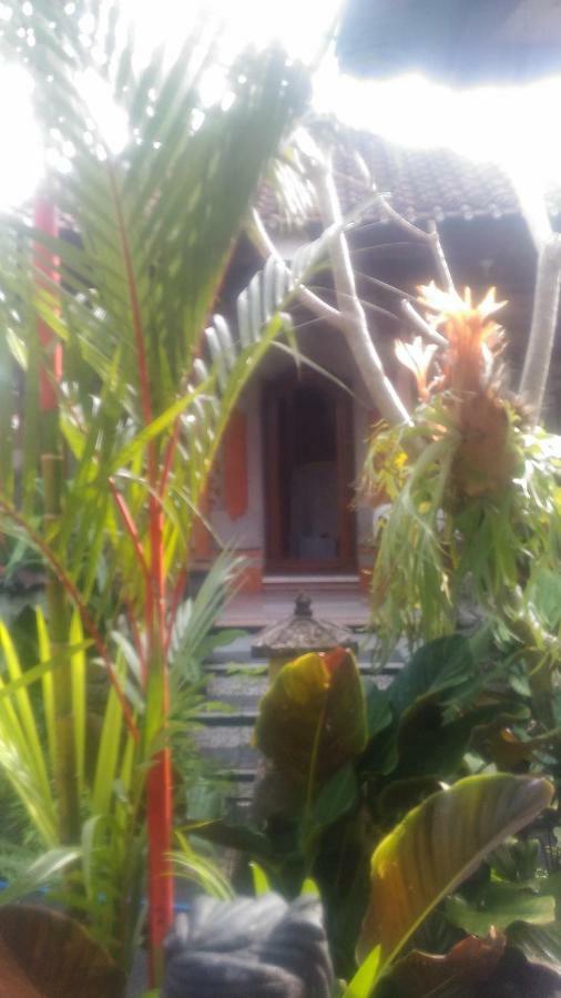 Dewi Antara Homestay Ubud  Exterior photo